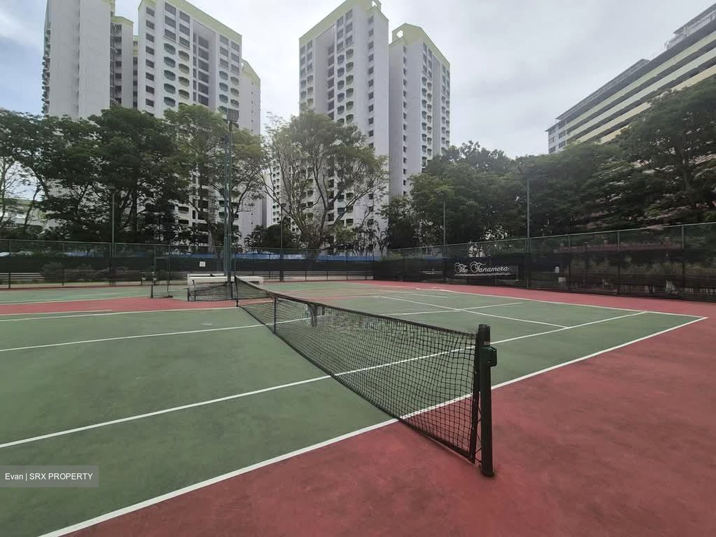 The Tanamera (D16), Condominium #532420271